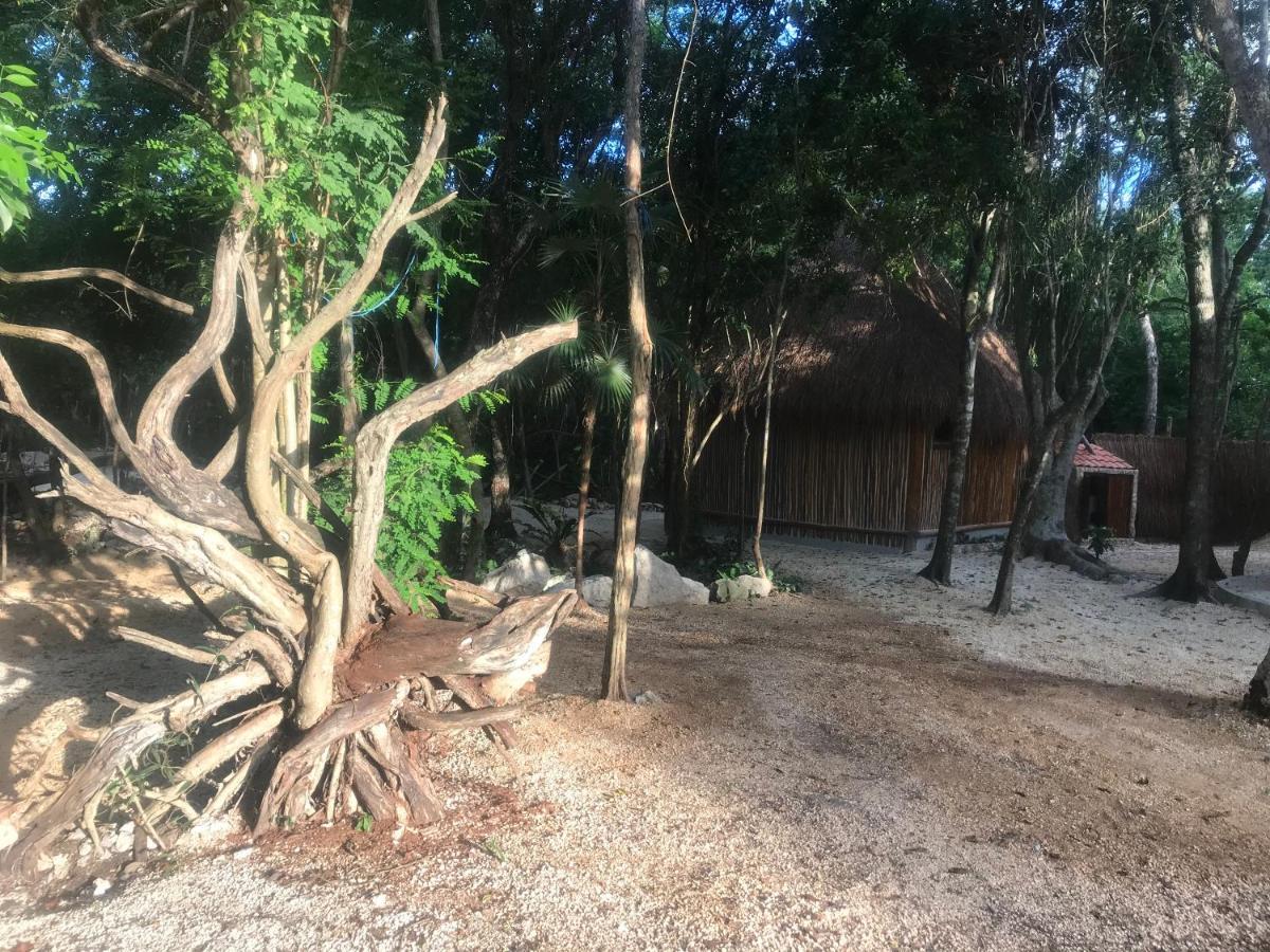 Tulum Nueve Hotel Екстериор снимка